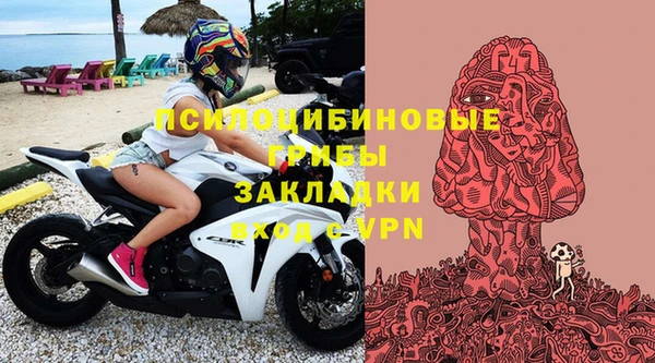 хмурый Алексеевка