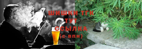 гашик Абаза