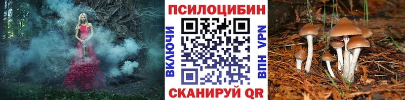 Галлюциногенные грибы прущие грибы  маркетплейс формула  Рязань  купить закладку 